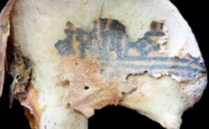 Foto: Live Science / Arheolozi dešifrovali simbole
