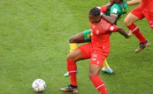 FOTO: AA / Detalji sa utakmice Švicarska - Kamerun