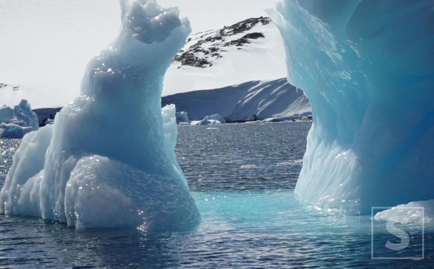Scene s Antarktika koje je snimila Aida Čerkez