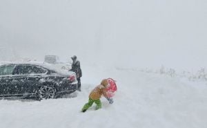 Foto: A. K. / Snježna mećava na Igmanu