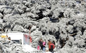 FOTO: AA / Alžirci su bili sretni zbog snježnih padavina