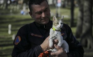 Foto: Anadolija / Bh. spasilac koji je udomio mačku