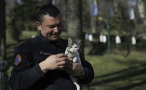 Foto: Anadolija / Bh. spasilac koji je udomio mačku