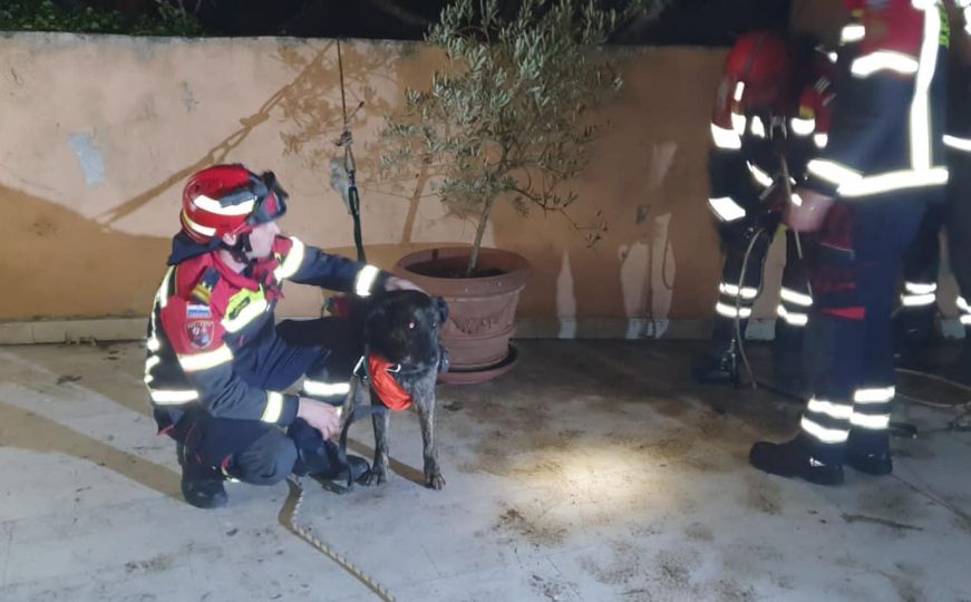 Vatrogasci spasili psa iz provalije