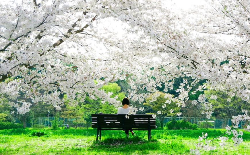 Astrolozi objavili sedmični horoskop