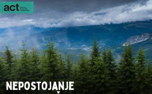 Foto: ACT Balkans / Svjetski dan šuma