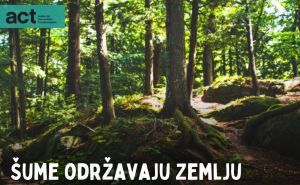 Foto: ACT Balkans / Svjetski dan šuma