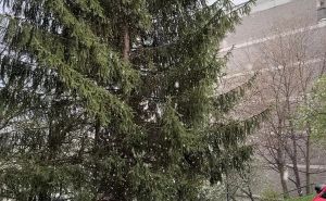 FOTO: Radiosarajevo.ba / Snijeg u Sarajevu