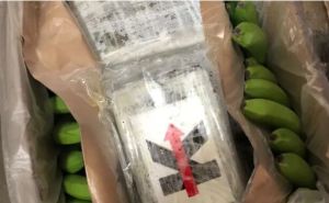 Foto: Njemačka savezna policija / Kokain među bananama
