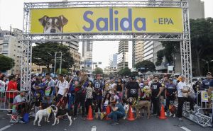 Foto: AA / Jedinstvena utrka kućnih ljubimaca i vlasnika u Venecueli