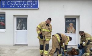 Foto: Facebook / Vatrogasci spasili psa u Vogošći