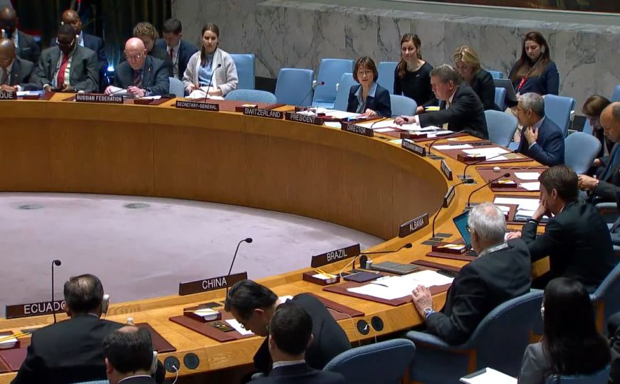 Sjednica Vijeća sigurnosti UN-a