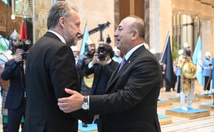 Foto: AA / Bakir Izetbegović na inauguraciji Erdogana