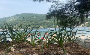 Foto: Radiosarajevo.ba  / Mljet