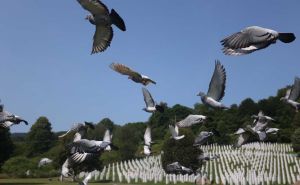 Foto: Dž. K. / Radiosarajevo.ba / Memorijalni let za žrtve genocida u Srebrenici