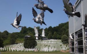 Foto: Dž. K. / Radiosarajevo.ba / Memorijalni let za žrtve genocida u Srebrenici