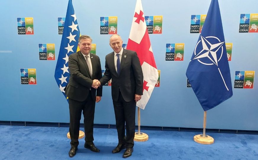 NATO samit u Vilniusu