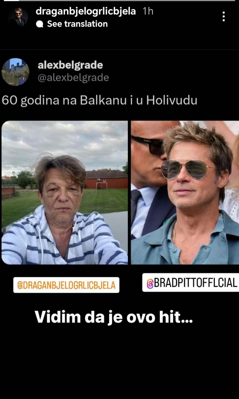 Dragan Bjelogrlić, Brad Pitt