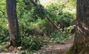 Foto: Facebook / Posljedice olujnog nevremena u Velikoj Aleji, Ilidža