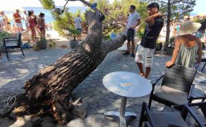 Foto: Facebook / Pad stabla na kafić u blizini plaže, Baške Vode