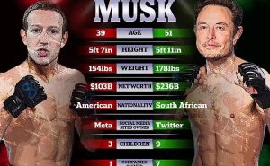 Foto: Dailymail.co.uk / Ilustracija / Mark Zuckerberg protiv Elona Muska