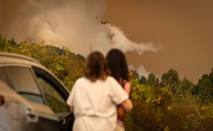 FOTO: AA / Vatrogasci se bore sa vatrenom stihijom