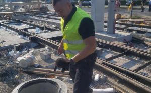 Foto: Radiosarajevo.ba / Policajac Damir spasio mače iz šahta na gradilištu tramvajske pruge