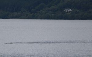 Foto: Chie Kelly / Čudovište iz Loch Nessa