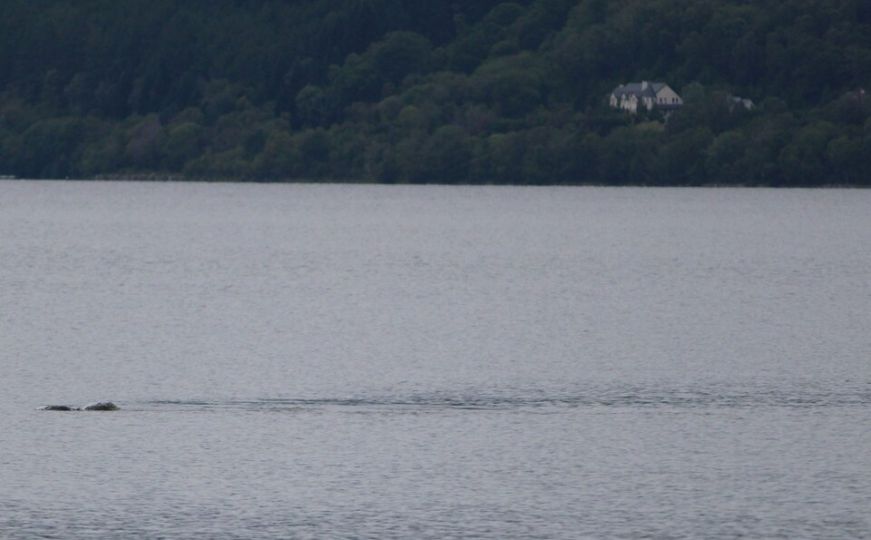Čudovište iz Loch Nessa