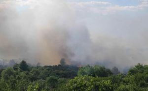 Foto: Slobodna Dalmacija / Požar u istočnom dijelu Zadra