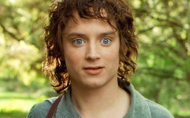 Elijah Wood kao Frodo