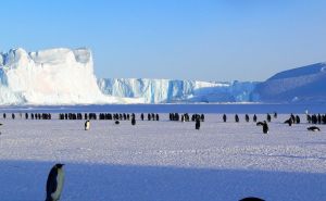 Foto: Pexels / Antartica