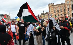 Foto: N. G. / Radiosarajevo.ba / Protest podrške Palestini