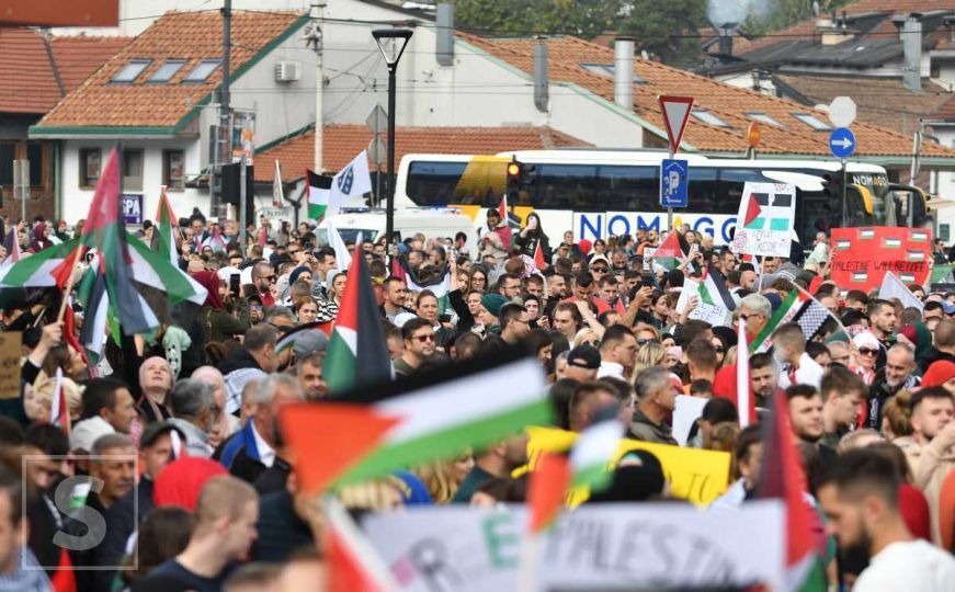 Protest podrške Palestini