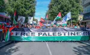 FOTO: AA / Ilustracija / Protest podrške palestinskom narodu