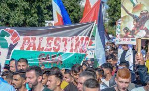 FOTO: AA / S protesta u Podgorici za Palestinu