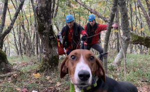 Foto: GSS Jablanica / Akcija spašavanja psa