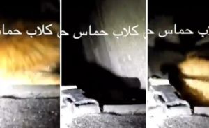 Foto: Printscreen / Izraelska vojska ušla u tunele Hamasa