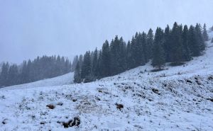 Foto: M. M. / Radiosarajevo.ba / Snijeg na Jahorini