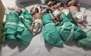 Foto: Guardian / Bebe u bolnici al-Shifa, 13. novembar 2023.