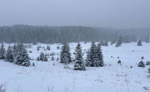 Foto: M. M. / Radiosarajevo.ba / Snijeg na Igmanu
