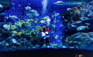 FOTO: AA / Džinovski akvarijum