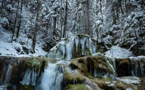 Foto: Dženad Džino / Izvor Paljanske Miljacke