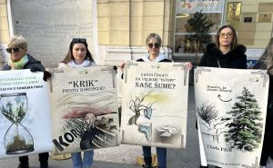 Foto: Aarhus Centar u BiH / Mirni protesti u Sarajevu
