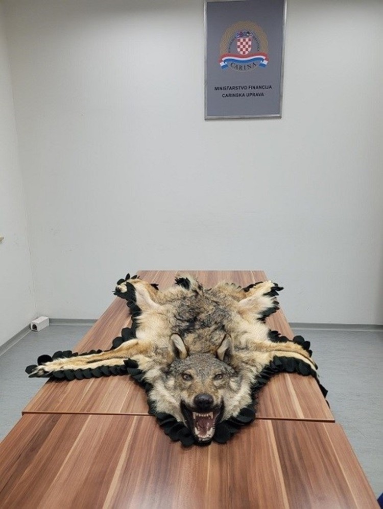Carinici spriječili pokušaj nezakonitog unosa trofejne vučje kože s glavom