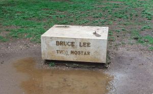 Foto: Fena / Nestao kip Bruce Leea iz Mostara