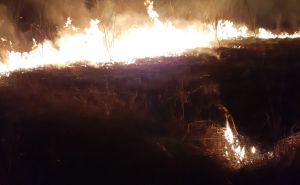 Foto: Facebook / Požar u blizini Tuzle