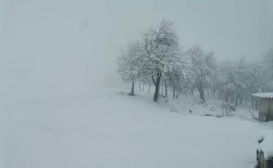 Foto: Bhmeteo.ba / Snijeg na Vlašiću