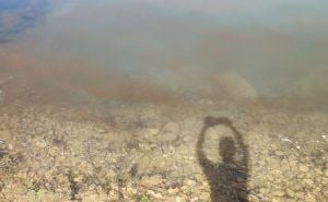Foto: Facebook / Prizori cvjetanja algi u Jablaničkom jezeru