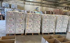Foto: MINA / Paketi pomoći za Gazu